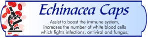 Echinacea Caps