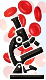 Logo1